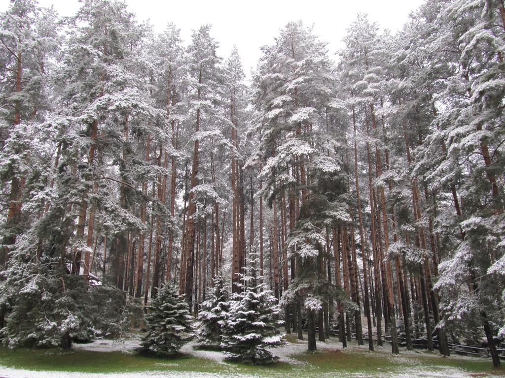 Apartments Markoni Zlatibor Esterno foto